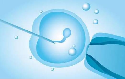 改善卵巢功能的保健品：这些产品对卵巢有大作用！