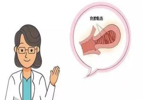试管取卵后需要多长时间才能知道胚胎结果？