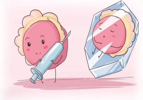 精子存活率低怎么办？多吃这些食物帮你告别尴尬问题