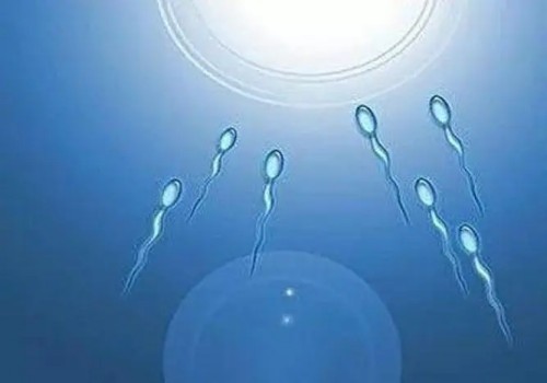 广州助孕机构：泌乳素含量过低对备孕的危害比预想中大多了，最好提前进行调养